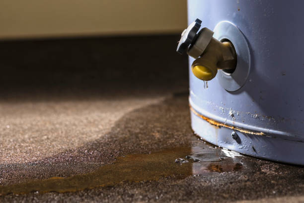 Best Flooded house restoration  in Northford, CT