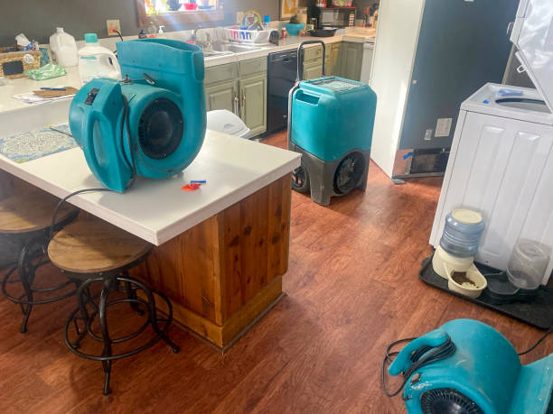 Best Residential water damage restoration  in Northford, CT