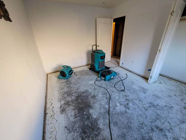Best Residential water damage restoration  in Northford, CT
