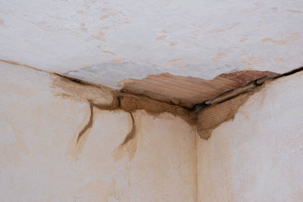 Best Ceiling water damage repair  in Northford, CT