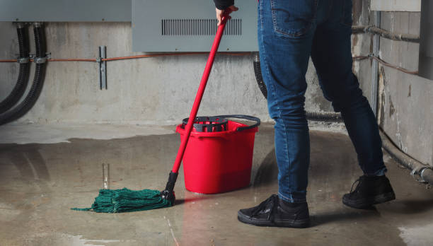 Best Flood restoration services  in Northford, CT