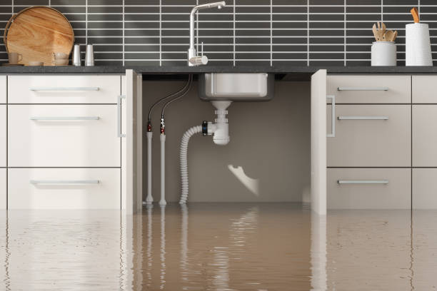 Best Fire Damage Restoration  in Northford, CT