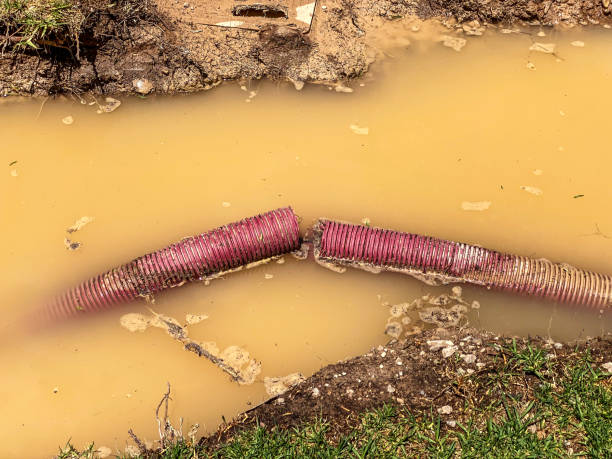 Best Basement water damage restoration  in Northford, CT